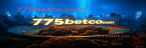 775bet.co